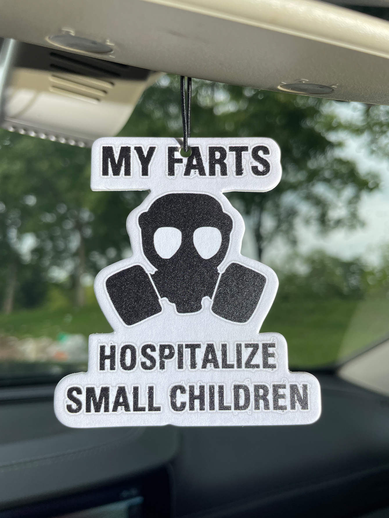 My Farts Hospita/Hilton Fresh  - Perfume Fragrance Types recensione e prezzo