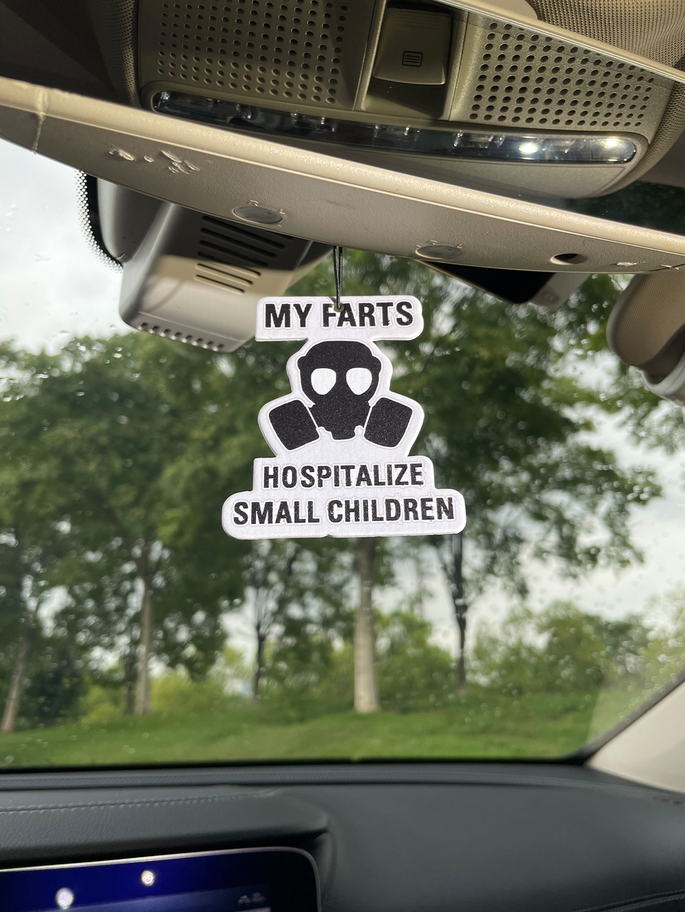 My Farts Hospita/Hilton Fresh  - Perfume Fragrance Types recensione e prezzo