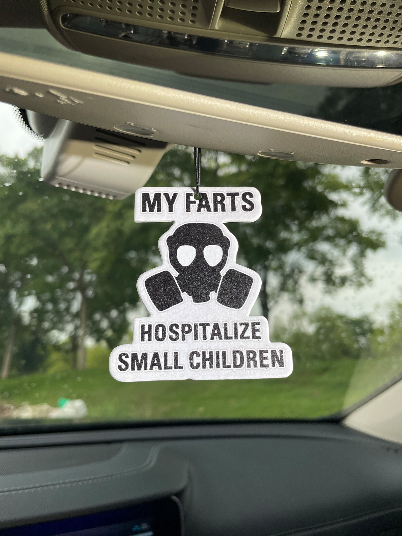 My Farts Hospita/Hilton Fresh  - Perfume Fragrance Types recensione e prezzo