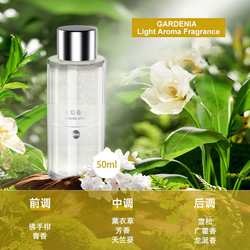 50ml Refill fragrance for Car  - Perfume Fragrance Refill recensione e prezzo